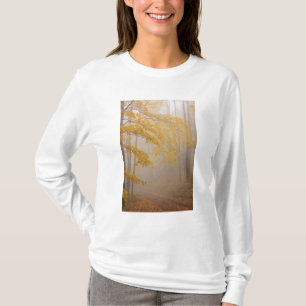 Fog and Autumn foliage, Great Smoky Mountains T-Shirt