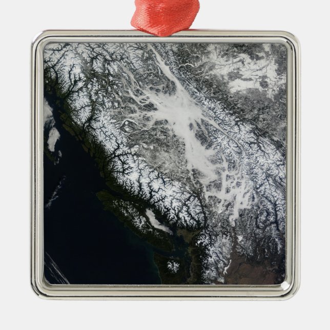 Fog and snow in British Columbia Metal Ornament (Front)