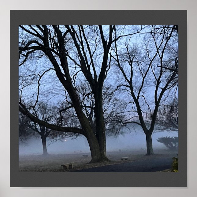 Fog and Trees Poster (Front)