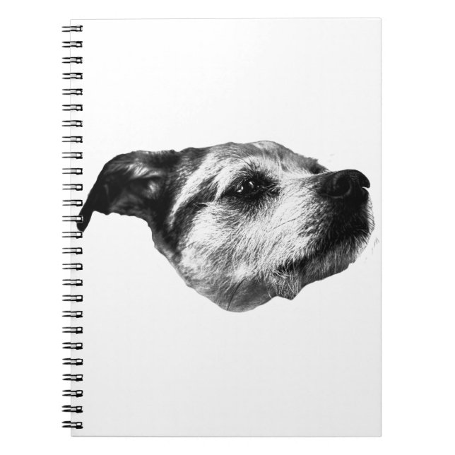 Fog & Cider Stroll — Terrier Notebook (Front)