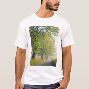 Fog covered road, Cades Cove, Great Smoky T-Shirt