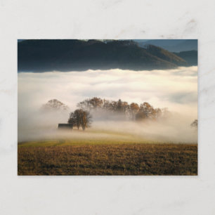Fog Covered Shack in the Meadow Postcard