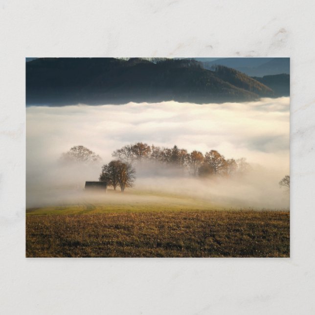 Fog Covered Shack in the Meadow Postcard (Front)