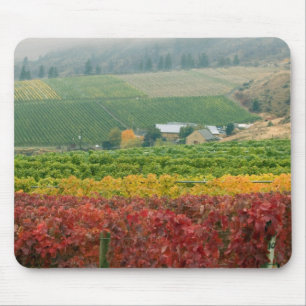 Fog creeps over Gehring Brothers Winery nestled Mouse Pad