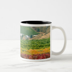 Fog creeps over Gehring Brothers Winery nestled Two-Tone Coffee Mug