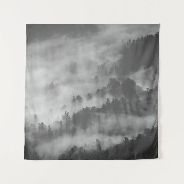 FOG DEVOURING A FOREST TAPESTRY (Front)