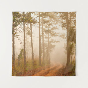 Fog in pine forestforest,beautiful,black,dark,dawn tapestry