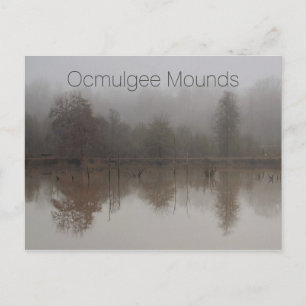 Fog in Walnut Creek Wetlands, Ocmulgee Mounds Postcard