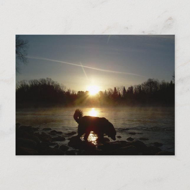 Fog over Mississippi River Postcard (Front)