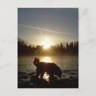 Fog over Mississippi River Postcard