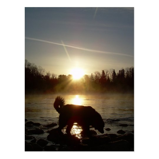 Fog over Mississippi River Postcard