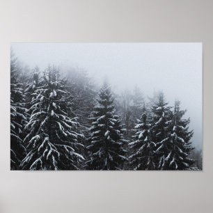 Fog over snow covered spruce forest in winter poster