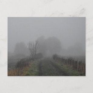 Fog Postcard