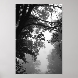 Fog Poster