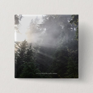 Fog & Sun Beams in a Washington Forest 15 Cm Square Badge