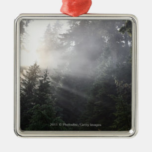 Fog & Sun Beams in a Washington Forest Metal Tree Decoration
