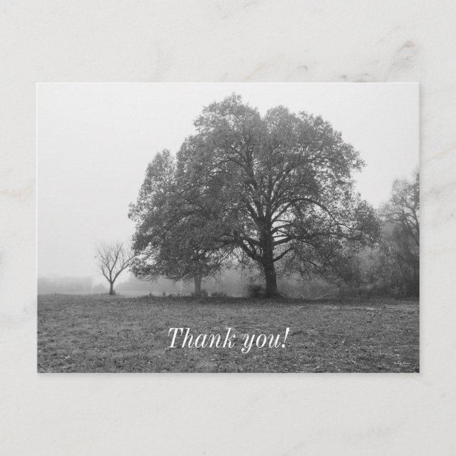 Foggy Autumn Morning Grayscale Postcard (Front)