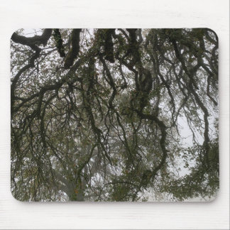 Foggy Blue Oaks Mouse Pad