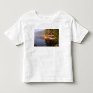 Foggy Canoe Campsite, Lake Kawnipi, Toddler T-Shirt