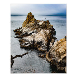 Foggy Evening at Point Lobos Photo Print