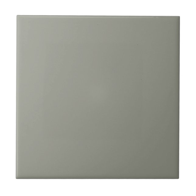Foggy Evergreen Square Kitchen and Bathroom Ceramic Tile (Front)