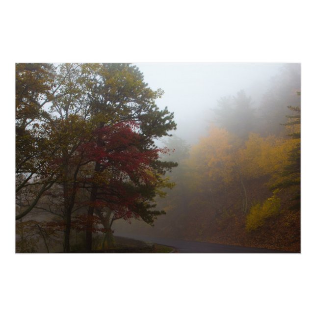 Foggy Fall colours on Skyline Drive, Virginia Photo Print (Front)