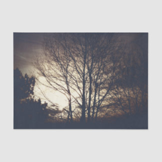 Foggy Fall Evening Tissue Paper