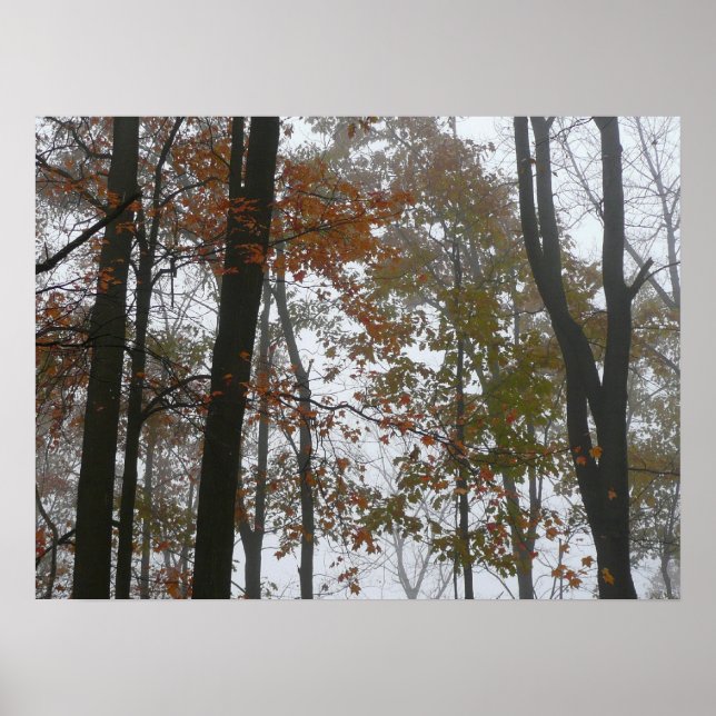 Foggy Fall in Pennsylvania Autumn Nature Poster (Front)