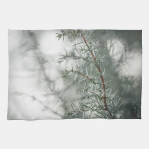 Foggy Forest Nature Photograph Kitchen Towel