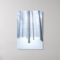 Foggy frozen winter forest