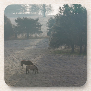 Foggy Grazing Coaster