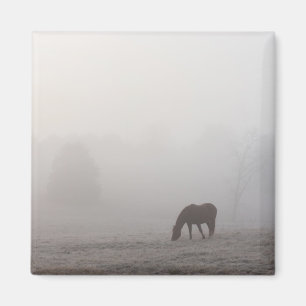 Foggy Grazing Magnet