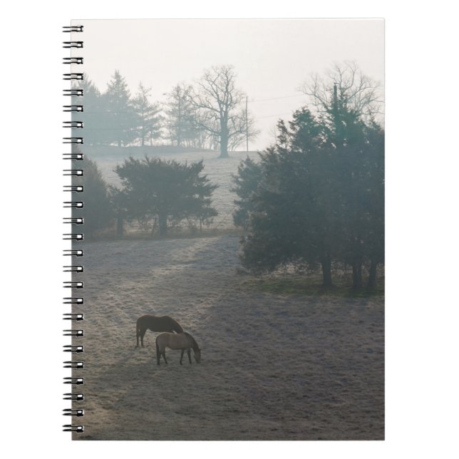 Foggy Grazing Notebook (Front)