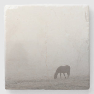Foggy Grazing Stone Coaster