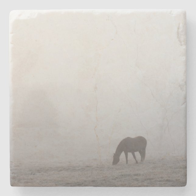 Foggy Grazing Stone Coaster (Front)