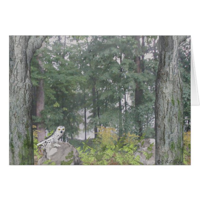 Foggy Lake (Front Horizontal)