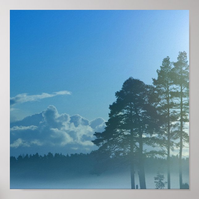 foggy lake in Finland Poster (Front)