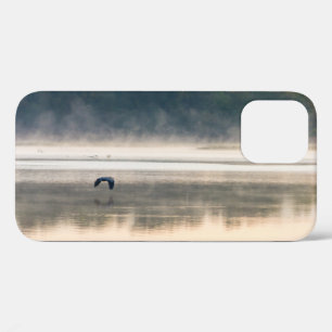 Foggy Morning Flight iPhone Case