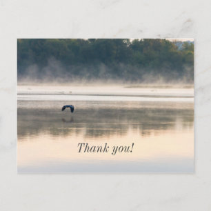 Foggy Morning Flight Thank You Postcard