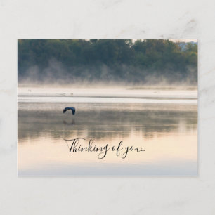 Foggy Morning Flight Thinking Of You Postcard