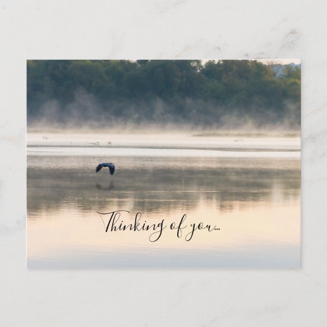 Foggy Morning Flight Thinking Of You Postcard (Front)
