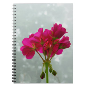Foggy Morning Geranium Notebook