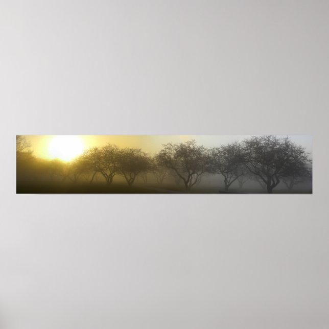 Foggy Morning Panoramic Poster (Front)