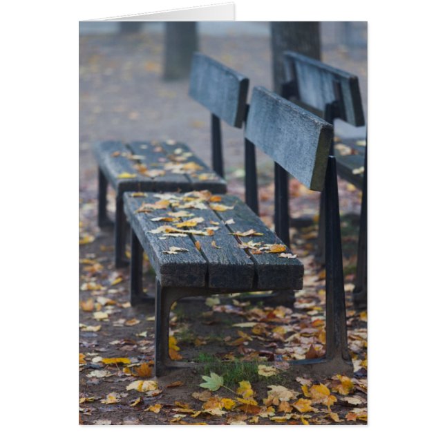 Foggy morning park bench, Germany (Front)