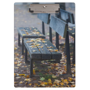 Foggy morning park bench, Germany Clipboard