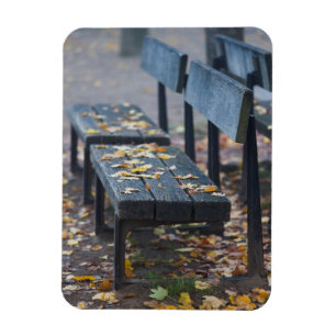 Foggy morning park bench, Germany Magnet