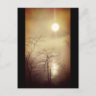 Foggy Morning Postcard