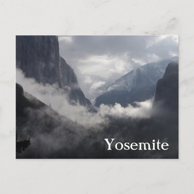 Foggy Morning Postcard (Front)