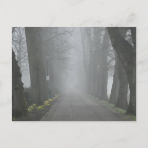 Foggy Morning Postcard