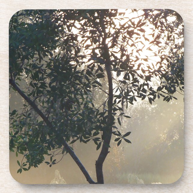 foggy morning sunrise coaster (Front)